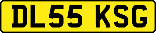 DL55KSG