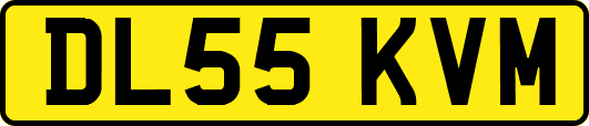 DL55KVM