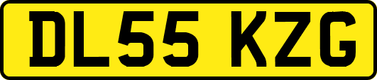 DL55KZG