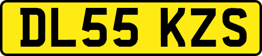 DL55KZS