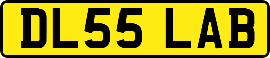 DL55LAB