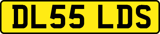 DL55LDS