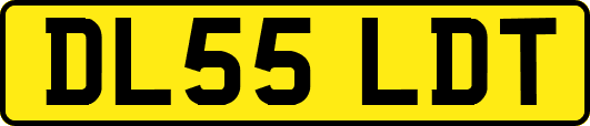 DL55LDT