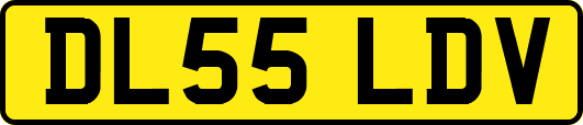 DL55LDV