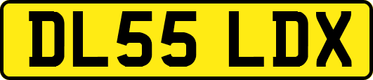 DL55LDX