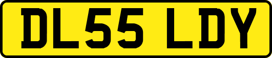 DL55LDY
