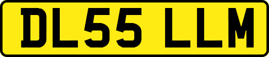 DL55LLM