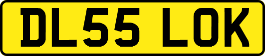 DL55LOK