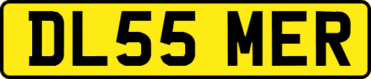 DL55MER