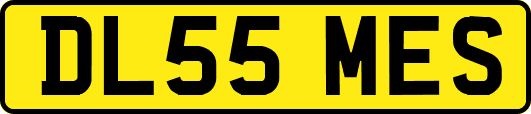 DL55MES
