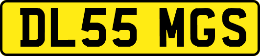 DL55MGS