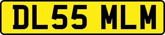 DL55MLM
