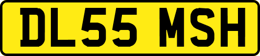 DL55MSH
