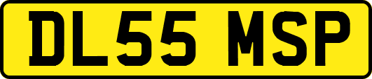 DL55MSP