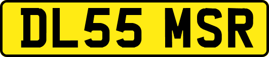 DL55MSR