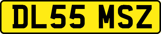 DL55MSZ