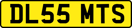 DL55MTS