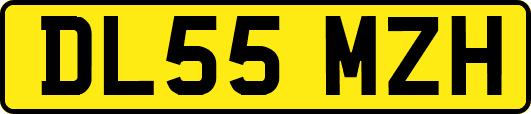 DL55MZH