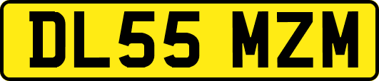 DL55MZM