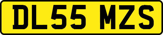 DL55MZS
