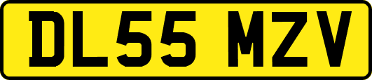 DL55MZV