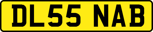 DL55NAB