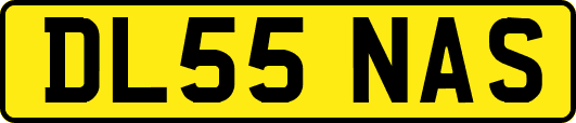 DL55NAS