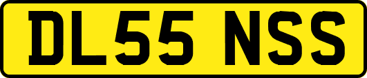 DL55NSS