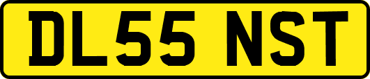 DL55NST