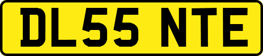 DL55NTE