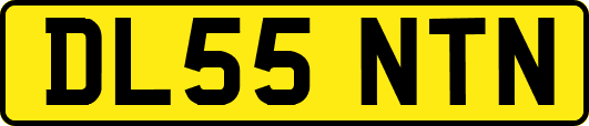 DL55NTN