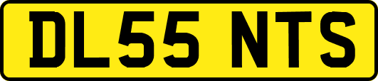 DL55NTS