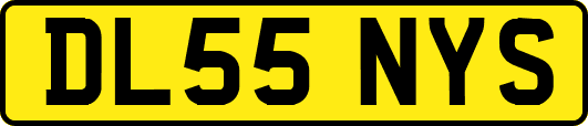 DL55NYS