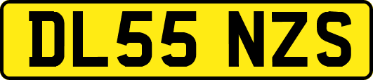 DL55NZS
