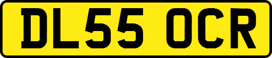 DL55OCR