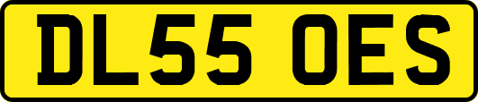 DL55OES