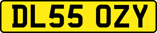DL55OZY