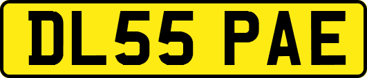 DL55PAE
