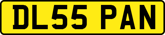 DL55PAN