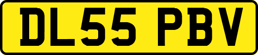 DL55PBV