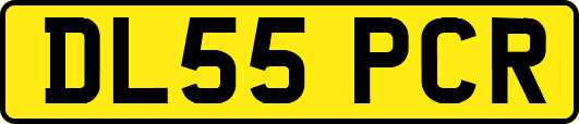 DL55PCR