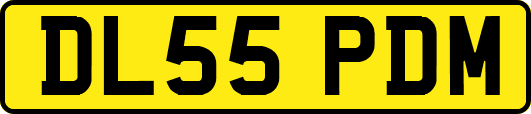 DL55PDM