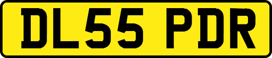 DL55PDR
