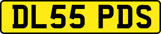 DL55PDS