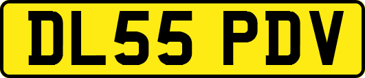 DL55PDV