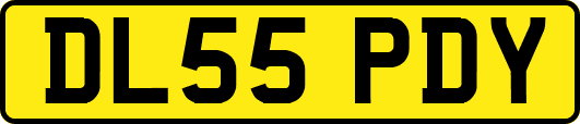 DL55PDY