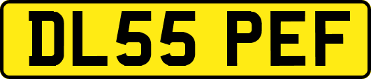 DL55PEF