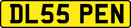 DL55PEN