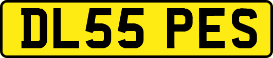 DL55PES