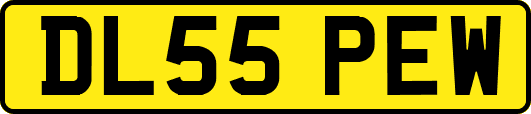 DL55PEW